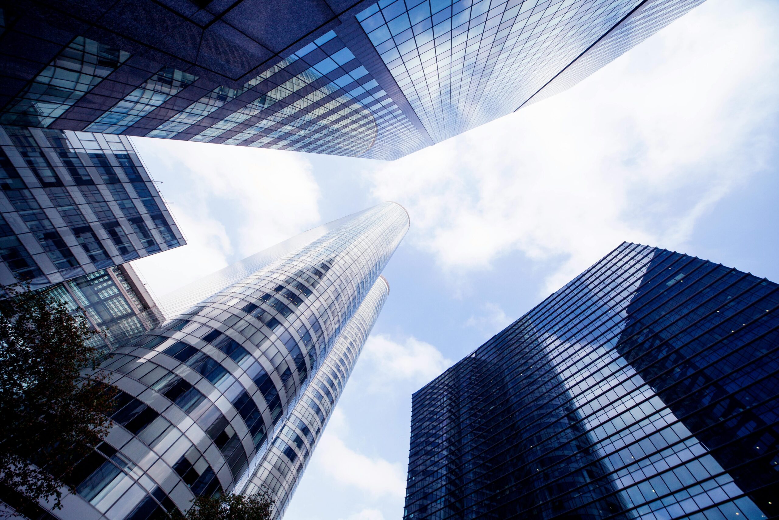 Photo by Amelia  Cui